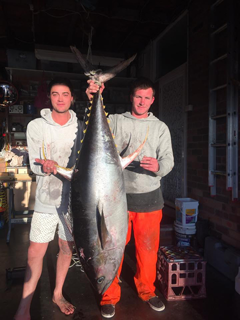 ANGLER: Jesse Ryan  SPECIES: Yellowfin Tuna  WEIGHT: 48kg LURE: JB Lures Little Dingo.